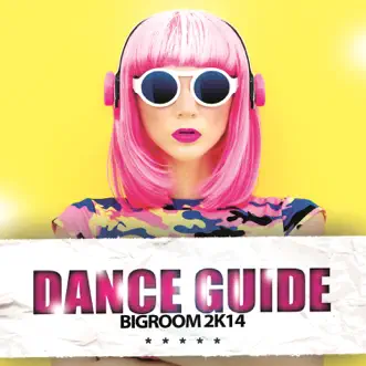 Dance Guide Bigroom 2k14 by Various Artists album reviews, ratings, credits