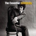 Donovan - Hurdy Gurdy Man