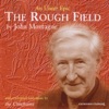 The Rough Field