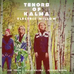 Electric Willow (with Kalle Kalima & Joonas Riippa) by Jimi Tenor & Tenors of Kalma album reviews, ratings, credits