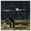 The Usual Things - The World Tonight