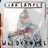 Wilderness - Single