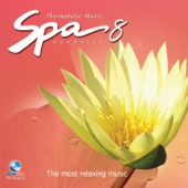 Spa Music ดนตรีบำบัด, Vol. 8 artwork