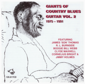 Giants of Country Blues Guitar, Vol. 2 - Various Artists