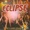 ECLIPSE MUSICAL - AMOR