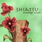 Ambient Music - Healing Massage Music Masters lyrics