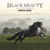 Black Beauty and Other TV Themes by Denis King