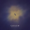 Caelum - Single