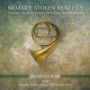 Ironwood & Diana Doherty - Quintet in E-Flat Major for Horn, Violin, Two Violas and Cello, K. 407/386c: I. Allegro