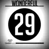 Stream & download Wonderful - Single