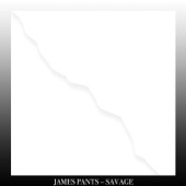 James Pants - Spaces