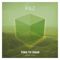Serie Ambientes: Paz by Toma Tu Lugar album reviews, ratings, credits