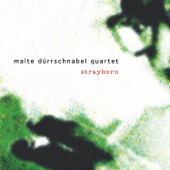 Strayhorn (feat. Malte Dürrschnabel, Rainer Böhm, Henning Gailing & Silvio Morger) - Malte Dürrschnabel Quartet