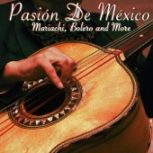 Pasión de México: Traditional Mexican Mariachi, Bolero & More artwork