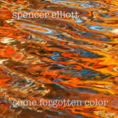 Some Forgotten Color - Spencer Elliott