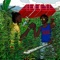 Ganja Farmer artwork