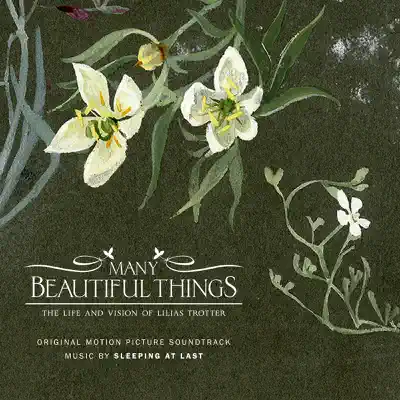 Many Beautiful Things (Original Motion Picture Soundtrack) - Sleeping At Last