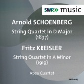 String Quartet in A Minor: III. Einleitung und Romanze. Allegretto - Andante con moto artwork