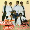 Calor y Sabor de Puebla album lyrics, reviews, download