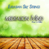Meditation Mind - Peace of Mind - Eurasian Silk Strings