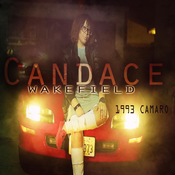 Cover artwork for 1993 Camaro