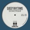 Domotique (Gaston Zani rmx) - Djeep Rhythms & Gaston Zani lyrics