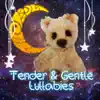 Tender & Gentle Lullabies – Baby Sleep Lullaby, Calm Night with Nature Music, Time in Cradle, Soothing Sounds for Dreaming, Beautiful Lullabies for Goodnight album lyrics, reviews, download