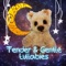 Baby Sleep Lullabies - Gentle Baby Lullabies World lyrics