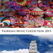 Tigrigna Music Collection 2015 artwork