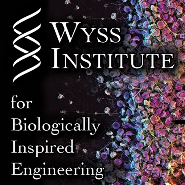 Wyss: Looking to Nature for Inspiration cover
