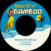 Voices Of Africa - Seduction