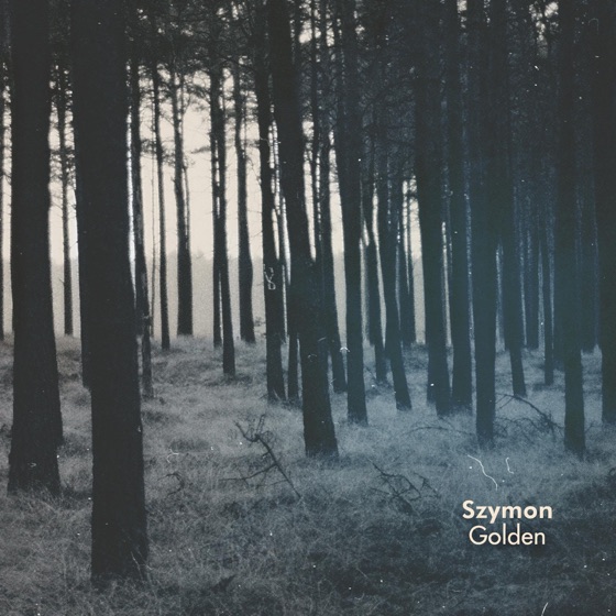 Cover artwork for Golden