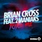 Take Me (feat. 2 Maniaks) - Brian Cross lyrics