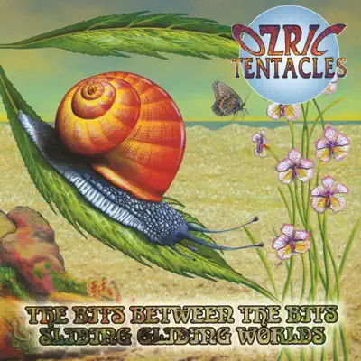 The Bits Between the Bits & Sliding Gliding Worlds - Ozric Tentacles