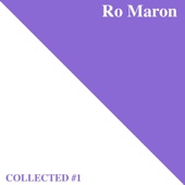 Ro Maron  Collected #1 artwork