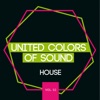 United Colors of Sound - House, Vol. 2