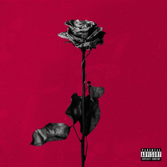 Cover artwork for Dirty Laundry