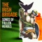Tony MacBride (Antoine Mac Giolla Bhrighde) - The Irish Brigade lyrics
