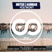 You Won't (Dapa Deep) [feat. Ashibah & Dapa Deep] artwork