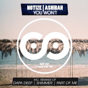 You Won't (feat. Ashibah) - EP