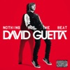 David Guetta feat. Usher - Without You