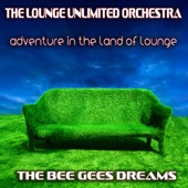 Adventure in the Land of Lounge (The Bee Gees Dreams) artwork