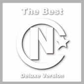 The Best  (Deluxe Version) artwork