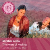 Meditations for Transformation: The Heart of Healing artwork