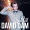 Grateful - David Dam lyrics