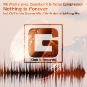 Nothing Is Forever (Chill in the Sunrise Mix) artwork