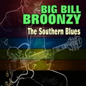 The Southern Blues artwork