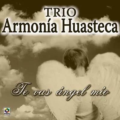 Te Vas Angel Mio - Trío Armonía Huasteca Te Vas Angel Mio - Trío Armonía Huasteca