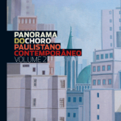 Panorama do Choro Paulistano Contemporâneo, Vol. 2 - Panorama do Choro