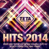 Hits 2014 artwork